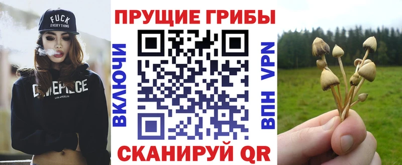 Галлюциногенные грибы Magic Shrooms  Зея 